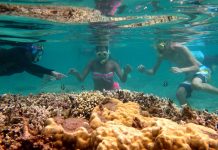 Les outils pédagogiques